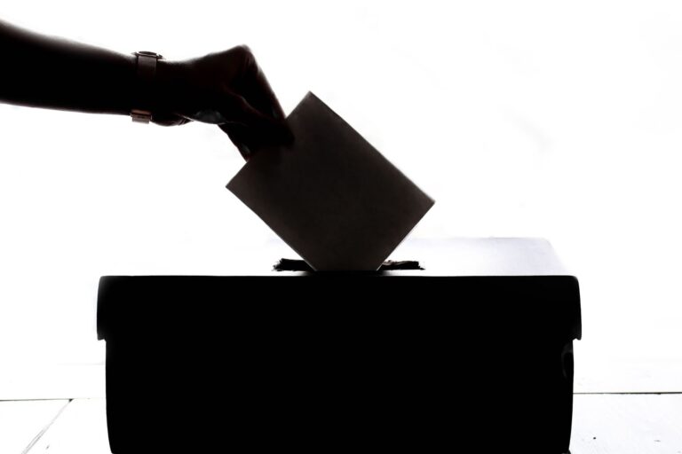 Referendumas dėl dvigubos pilietybės Lietuvoje. Rezultatai