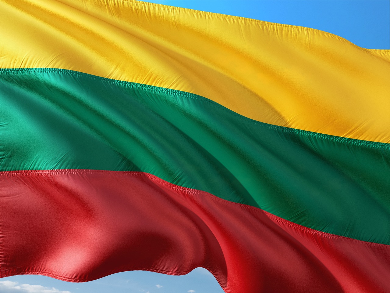 Флаг Литовской Республики – права и обязанности граждан